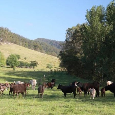 Cedar Creek Cottages Millfield Buitenkant foto